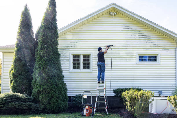 Best Spring Cleaning  in Welsh, LA